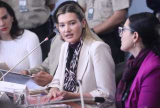 La ministra de Ambiente, Sade Fritschi, acudió este 9 de mayo a la Comisión de Biodiversidad de la Asamblea Nacional. 