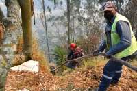 El presidente Daniel Noboa preside el COE Nacional, donde se hablará sobre las acciones para enfrentar los incendios en Quito.