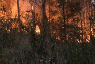 Bomberos y comunidades trabajan contra el avance del fuego en zonas ecológicas.