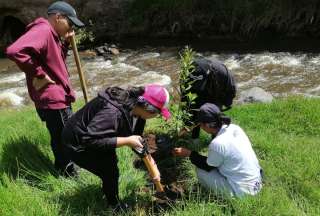 Ecuador reforesta con 4.500 árboles en el Día Internacional de los Bosques