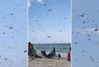 Los bañistas de la playa de Misquamicut en Rhode Island fueron testigos de un fenómeno natural inesperado.