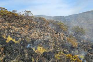 El incendio registrado en la Reserva Los Ilinizas fue controlado.