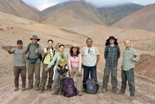 Rara especie vegetal con una sola floración en vida es objeto de cooperación en conservación de biodiversidad entre China y Perú