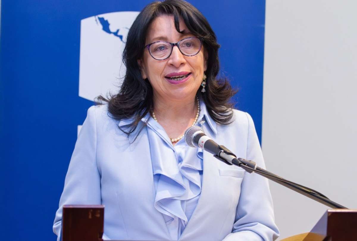 Solanda Goyes, vocal del Consejo de la Judicatura, es señalada por incumplimiento de funciones en relación a la creación de un reglamento para jueces y judicaturas en materia constitucional.