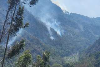 En los últimos días, los incendios forestales devastan importantes zonas de los cantones Loja y Cuenca, poniendo en riesgo la biodiversidad, los hogares y la vida de los habitantes. 