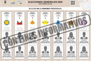 El Pleno del Consejo Nacional Electoral aprobó el diseño de las papeletas que se imprimirán para los próximos comicios de febrero de 2025.