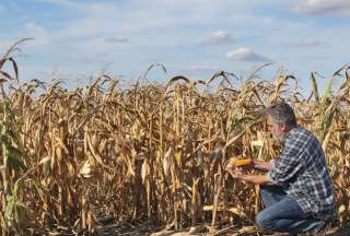 Un informe de la ONU revela que el clima extremo eleva los precios de los alimentos y agrava la desnutrición.