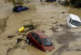 Refugios de animales claman ayuda por inundaciones en Valencia