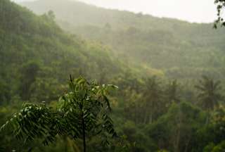 La mayor concentración de lluvias será en la Amazonía. 