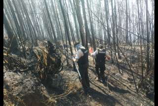 Autoridades presentaron denuncia por incendios forestales en Quito.