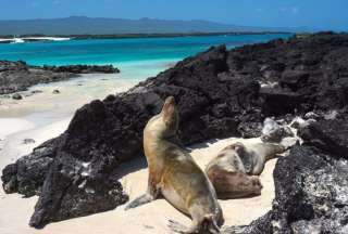 Las Islas Galápagos como destino turístico