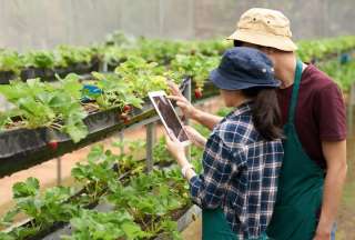 Grupo Alpina y Rockstart buscan &#039;startups&#039; agroalimentarias hasta el 25 de agosto