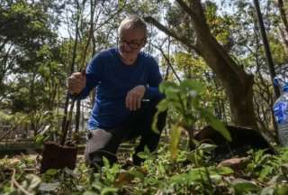 A sus 73 años, este ejecutivo retirado plantó más de 40.000 árboles en la ciudad, creando el primer parque lineal de São Paulo.