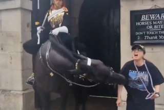 En Inglaterra, una mujer turista fue agredida por un caballo de la Guardia Real del Palacio de Buckingham   NOTA