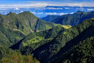 Conozca más sobre las especies de plantas amenazadas en la cordillera montañosa de Centinela.