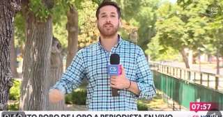 Periodista es asaltado por un loro mientras transmitía en vivo