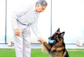 El multimillonario indio Ratan Tata junto a su perro Tito. 